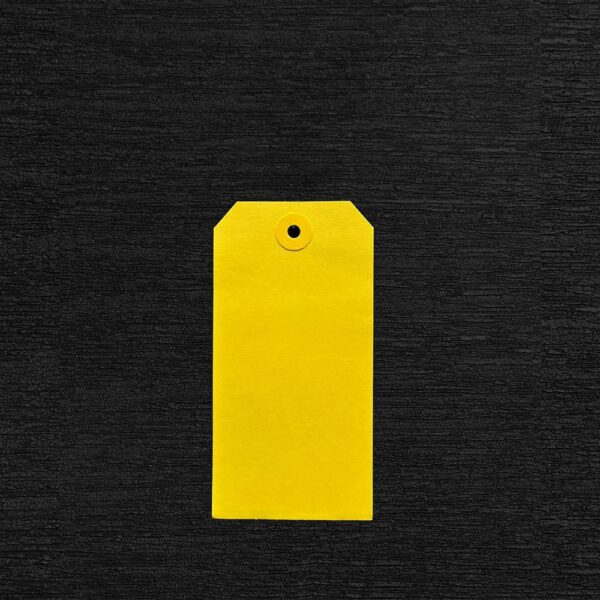Shipping Unstrung Tags - Image 5